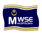 MWSE