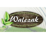 Walczak